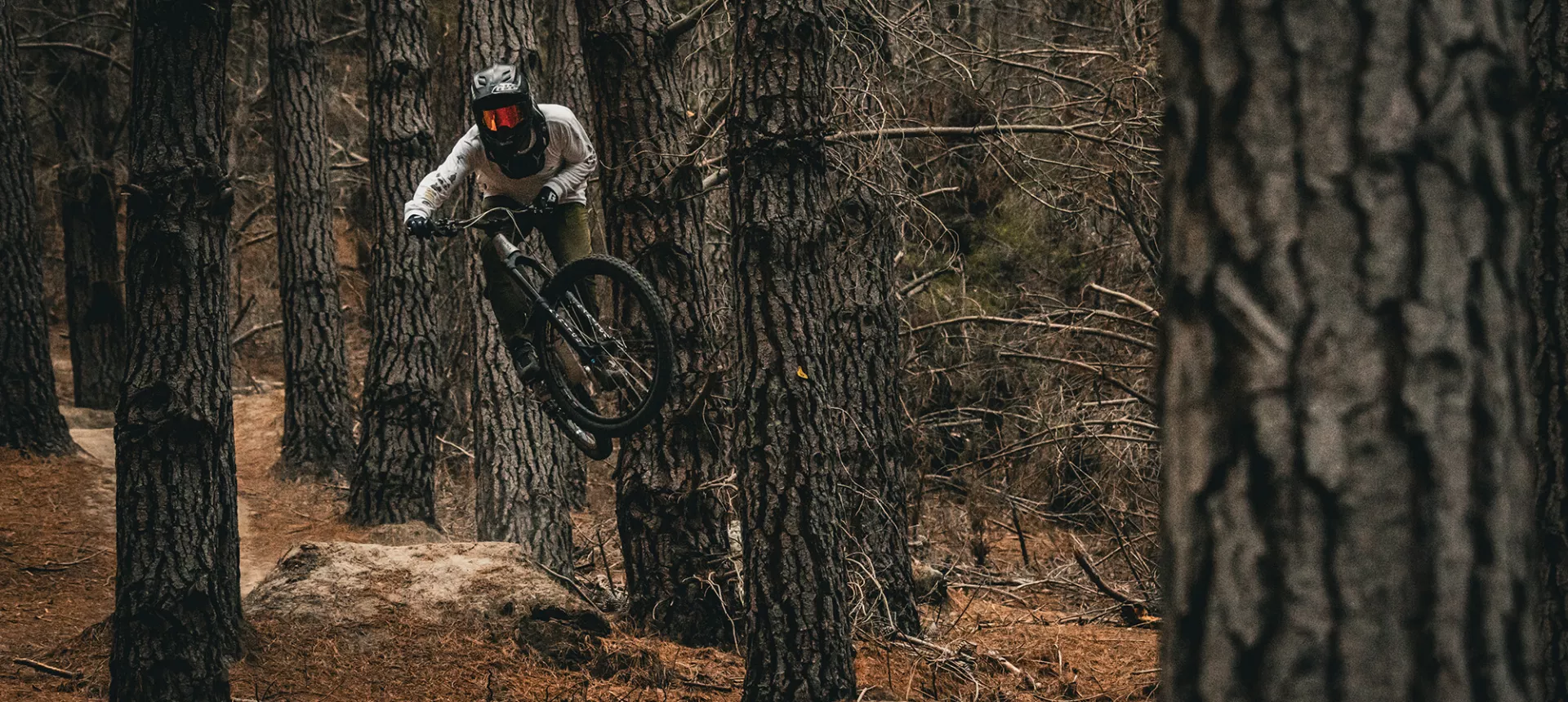 Dartmoor Hornet Pro fotoğraf 5