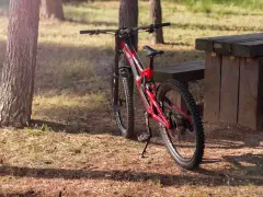 All Mountain Style Kickstand - Black