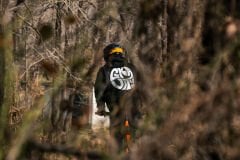 FRS Gravity T-Shirt - Wave