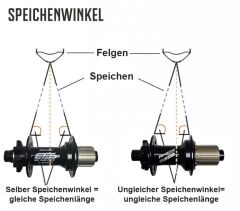 Reverse DH-7 EFS 7-Speed V2 Arka Göbek - 12x150 32H
