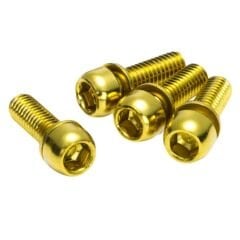 Reverse Disk Fren Kaliper Vidaları - Altın