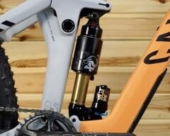 Canyon Strive CFR 29” - Enduro Bisiklet