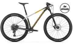 Mondraker CHRONO DC RR - Vortex Grey