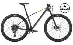 Mondraker CHRONO CARBON DC R - Nimbus Grey