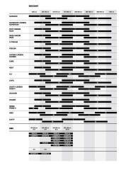 Mondraker ARID R - Golden Silver