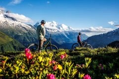 Santa Cruz Hightower R - Matte Deep Purple